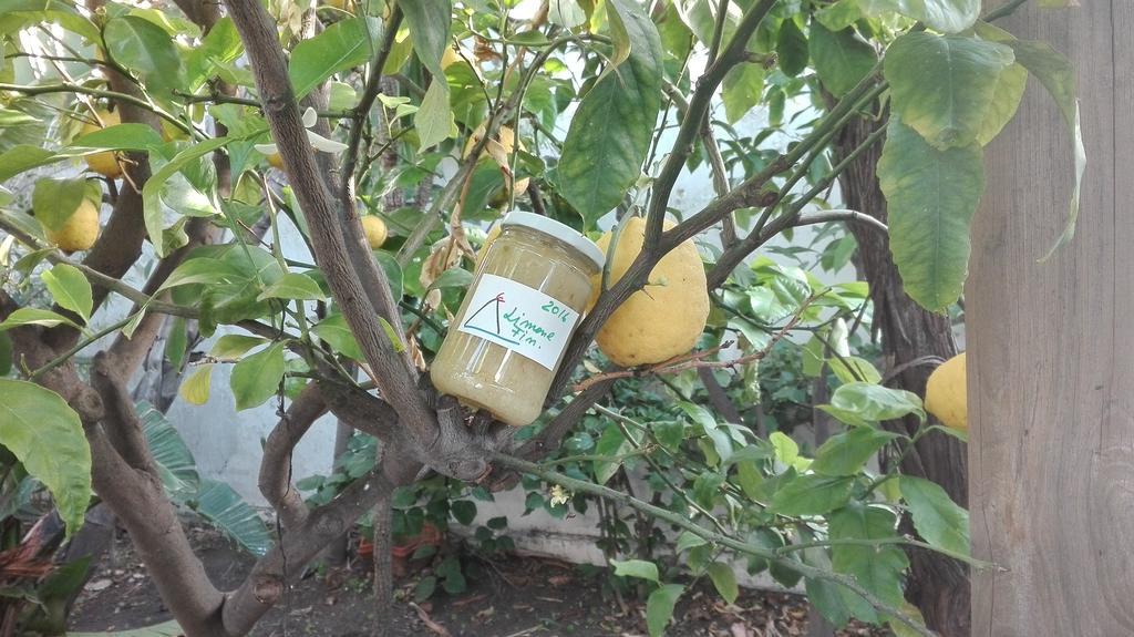 A' Riggiola Villa Stromboli Kültér fotó